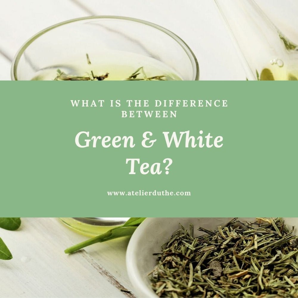 What is the difference between white and green teas